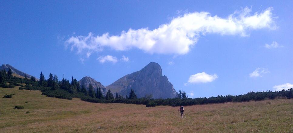 Blick zum Admonter Kaibling von der Scheiblegger Hochalm (Variante 01A)