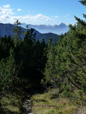 Von der Gehrenspitze (rechts), Hahnenkamm bis zum Hochvogel reicht der Blick