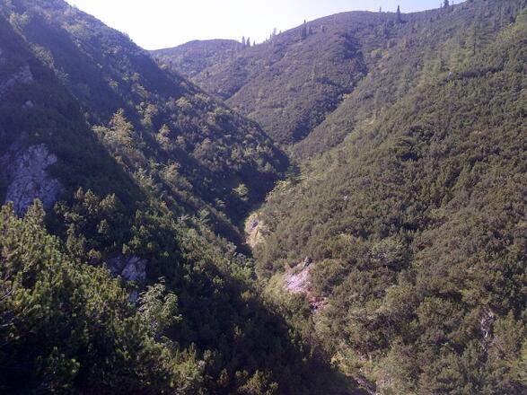 Latschengasserl im Abstieg vom Kreuzkogel (Variante 01A)