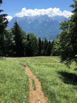 Etappe 3: Trail-Genuss Richtung Muttersberg mit Ausblick