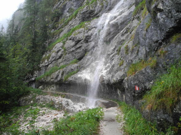 Bei Regen ist ein Schirm bei einer Begehung angebracht.