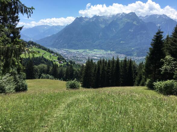 Etappe 3: Trail-Genuss Richtung Muttersberg mit Ausblick
