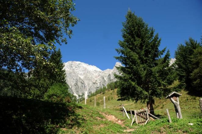 Weg zum Birnbachloch