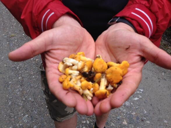 Das lohnende Ergebnis