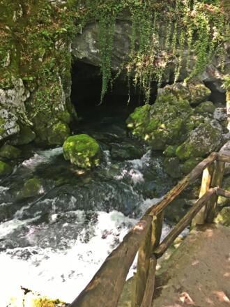 Gollinger Wasserfall 