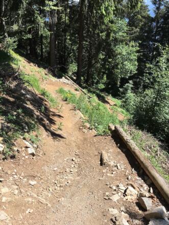 Etappe 3: Muttersberg Trail - Technik ist gefragt! 