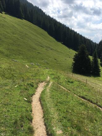 Etappe 3: Zum Aufwärmen gleich am Anfang ein flowiger Singletrail vom Sender hinab