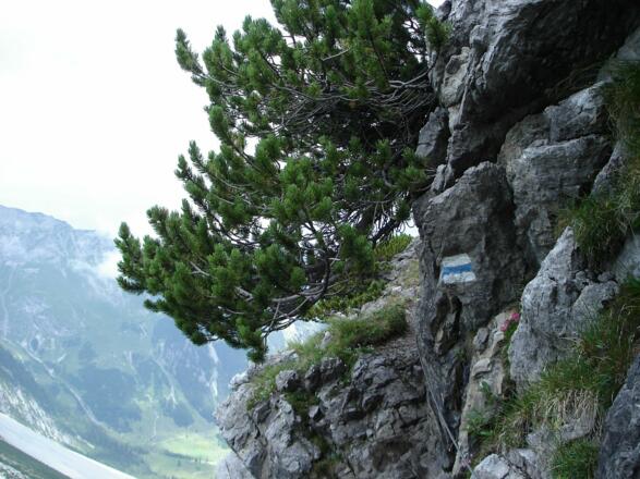 Der Saulajochsteig ist durch Drahtseile gesichert
