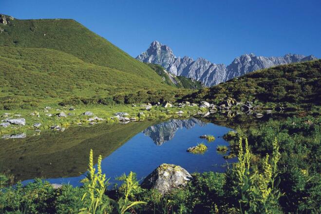 Blick zur Zimba von Platzis