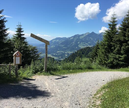 Etappe 3: Einstieg in den Muttersberg Trail