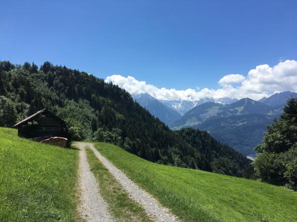 Etappe 3: Gemütliche Querung mit Ausblick am Ludescherberg