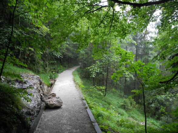 Zwischen der Gosauzwangbrücke und Hallstatt ist der Soleweg in einem ausgezeichneten Zustand!