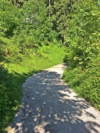 Wanderweg zum Gollinger Wasserfall