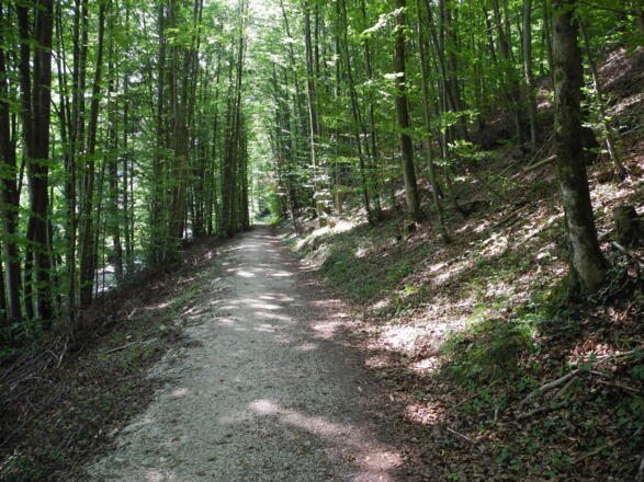 Der Soleweg zwischen Bad Ischl und Lauffen