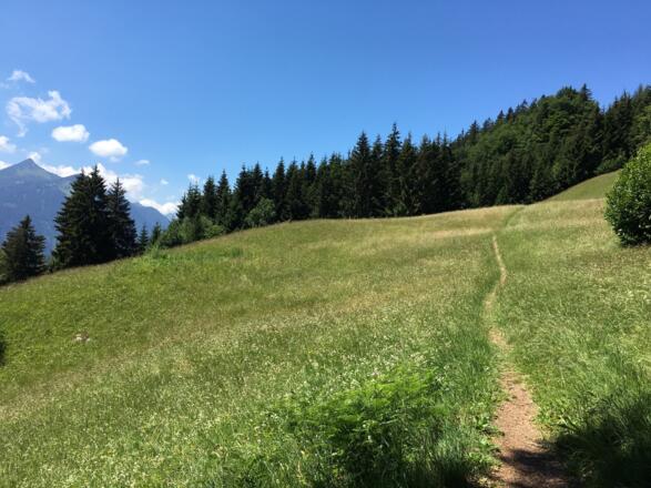 Etappe 3: Blick zurück auf den Singletrail