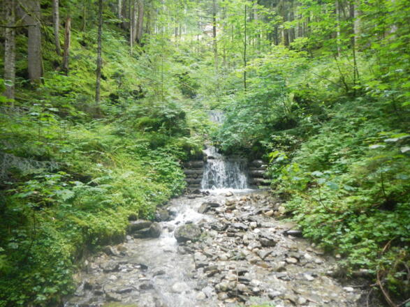 Schmaler Bach mit kleinem Wasserfall