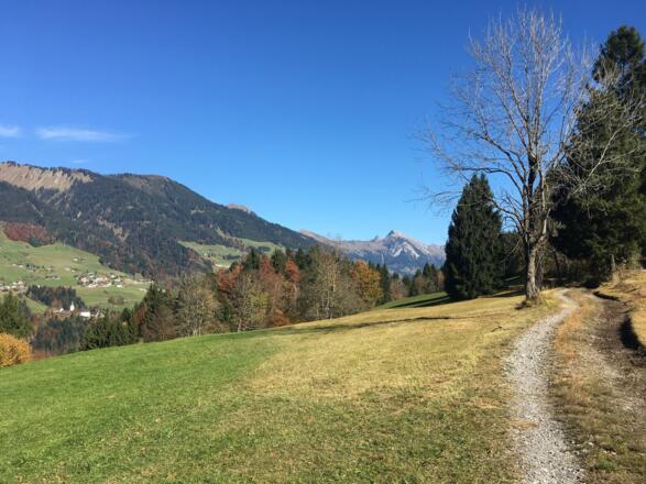 Etappe 3: &quot;Alte Raggalerstraße&quot; mit Blick ins Große Walsertal
