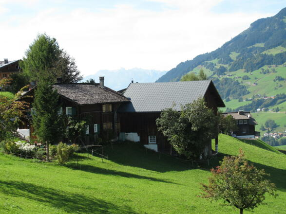 Walserhaus in Raggal