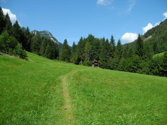 Der wunderschöne Wiesenweg von der Blaa Alm nach Altaussee