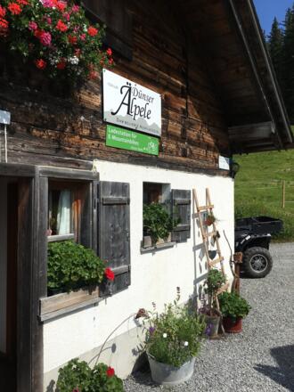 Etappe 2: &quot;Dünser Älpele&quot;