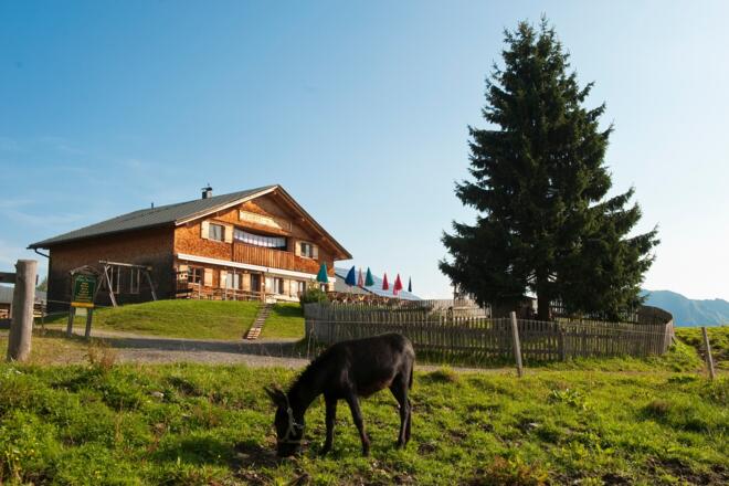 Alpe Rona am Hochplateau Tschengla