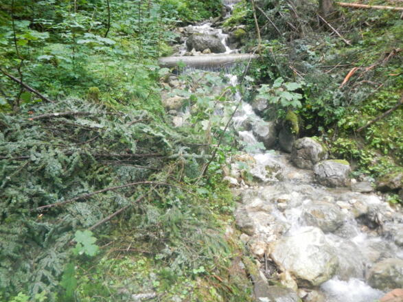 Schmaler Bach bei Gosau