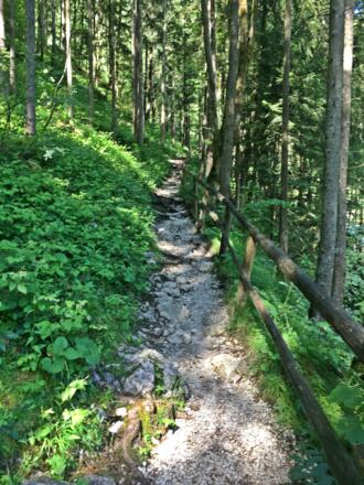 Wanderweg Gollinger Wasserfall