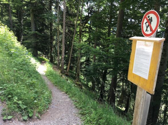 Etappe 3: Flowiger Abschnitt am Muttersberg Trail