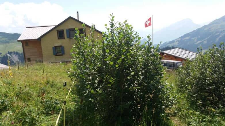 Unser Ziel ist erreicht: die Schesaplanahütte.