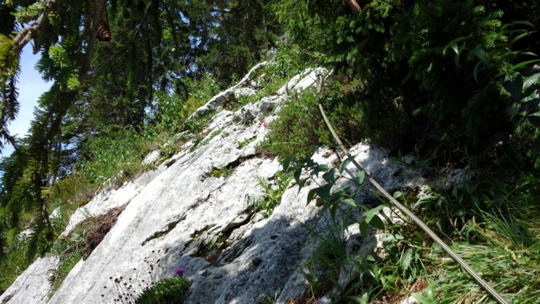 Seilsicherungen bei glatten Stellen