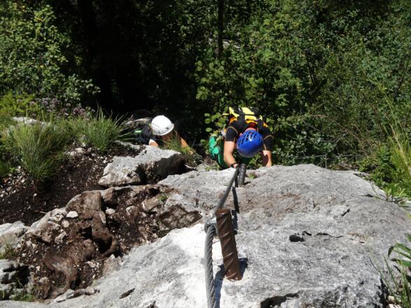 Anschließend geht es durch gestuftes Gelände im Wald empor.
