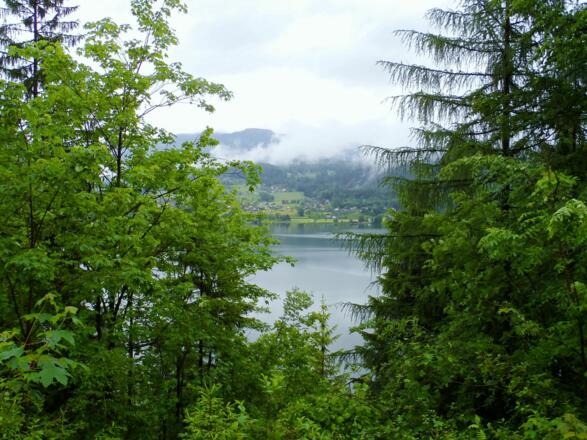 Blick auf den Hallstättersee