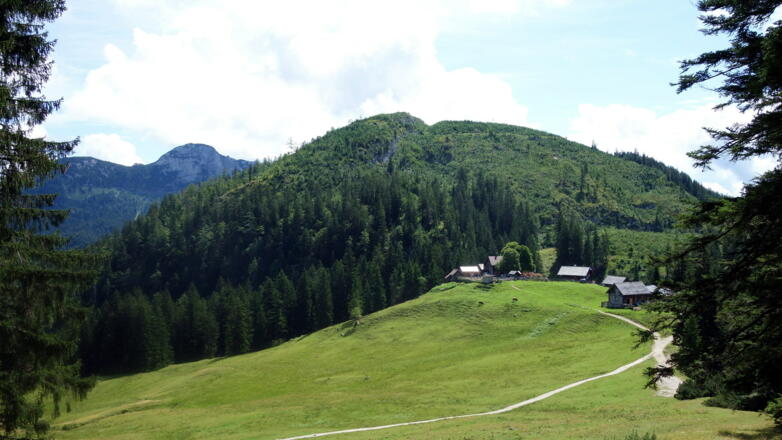~1260m Einstieg seilgesicherter Steig mit Hütteneckalm