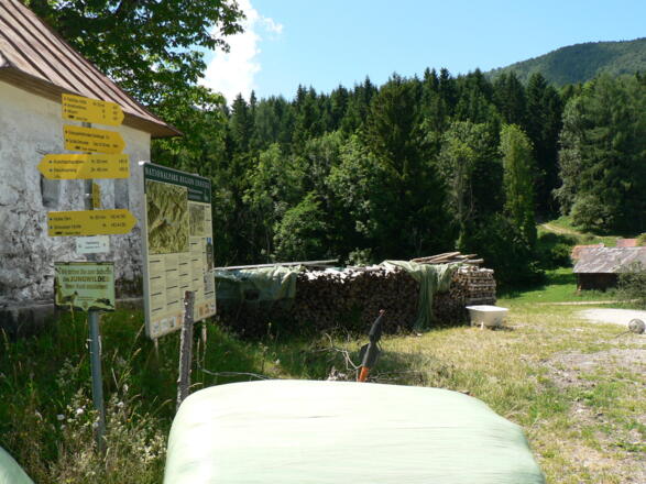 &quot;Schosserhütte über Sonnkogel, 2h&quot; sagt unser Wegweiser
