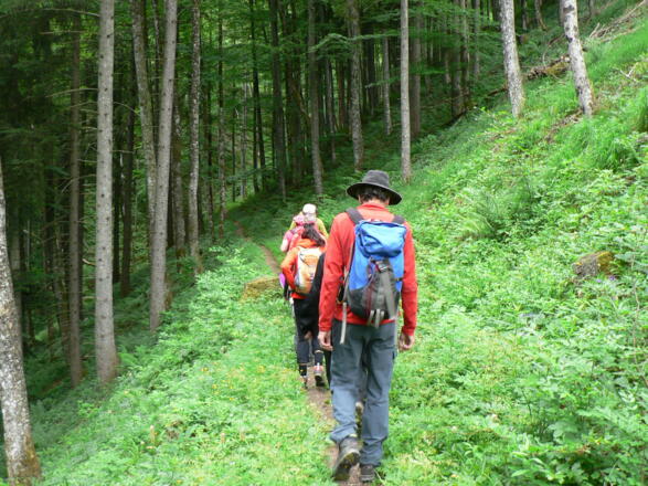 ...dann geht die Forststraße in einen schönen Steig über