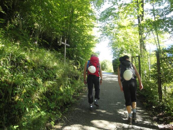 Bei einem Wegweiser wird die Asphaltstraße kurz oberhalb der Talstation der Salzbergbahn nach links verlassen.