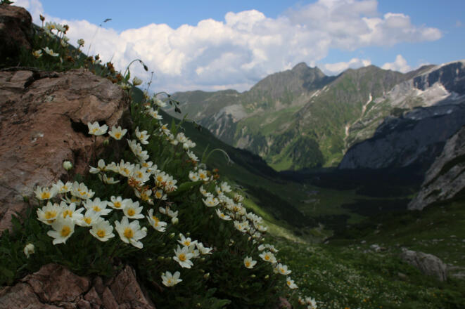 Blick zurück zur Lindauer Hütte
