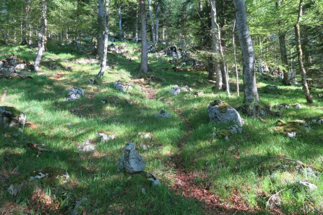 Auch der Steig ist meist gut ausgetreten