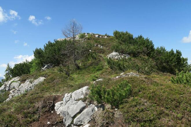 Gipfelaufbau Zwölferkogel: