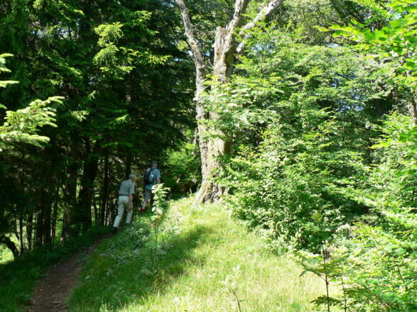 über den Grat zur Anton-Schosser-Hütte