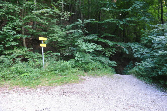 Hier beginnt der eigentliche Weg durch die Kalenbachwildnis