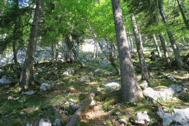 Manchmal muss man aber auch suchen