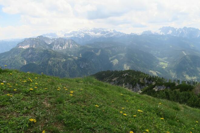 Gipfelwiese Niederer Kalmberg