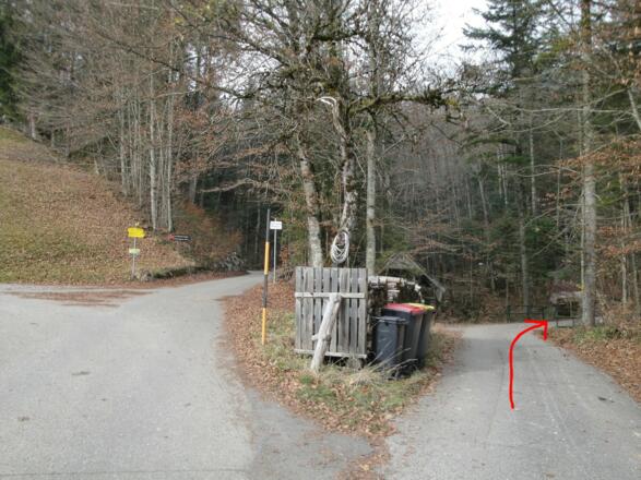 Nach etwa 500m folgen wir der rechten Straße.