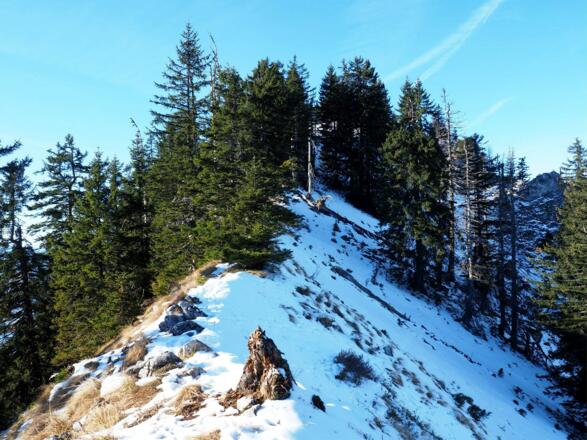 Schlussgrat mit Vorgipfel um 1440m