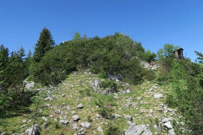 Hier geht&#039;s linker Hand weiter