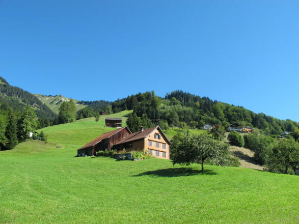 Altes Haus in Thüringerberg mit schön gepflegten Wiesen
