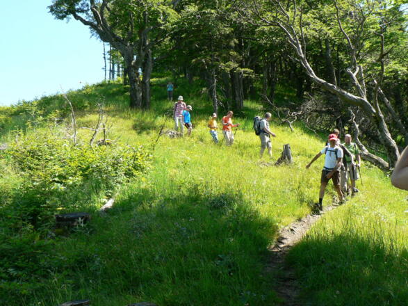 vom Sonnkogel abwärts
