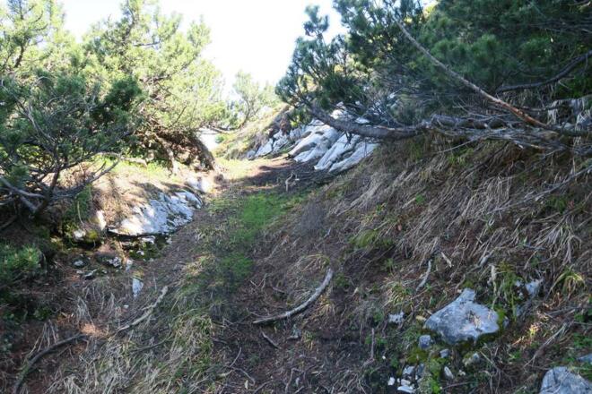 Immer wieder schöne Latschengassen