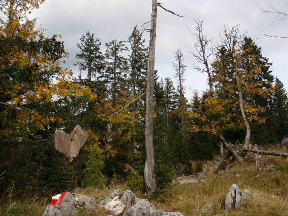 Am Gipfelplateau des Schneidkogels